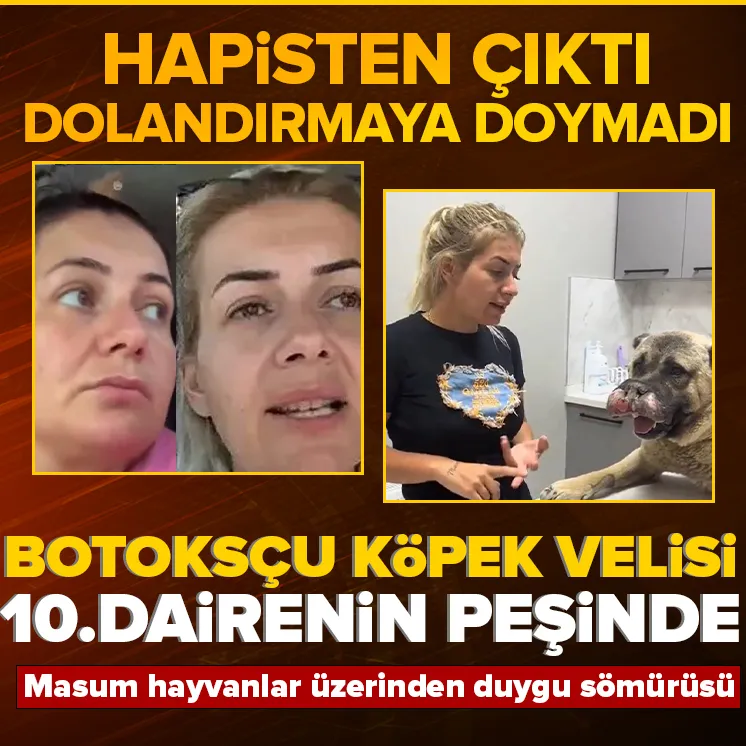 Köpekvelisi vatandaşı çarpma derdinde