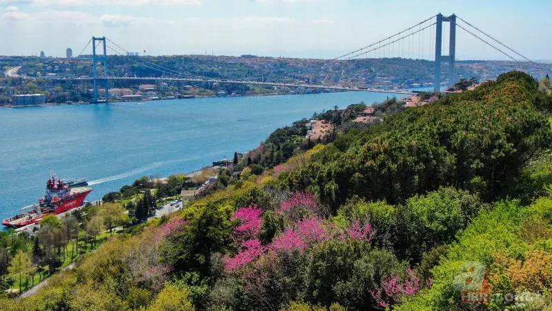 İstanbul'da depreme dayanıklı ilçeler hangisi? Japon mühendis 7.5 şiddetine bile dayanır diyerek duyurdu | İşte İstanbul risk haritası… 1