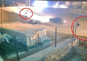 Hatay’da şok olay! Aracına havlayan köpeği kurşun yağdırdı