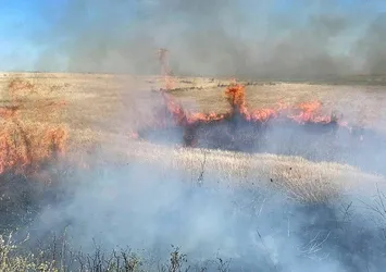Şırnak'ta 60 dönümlük buğday tarlası alevlere teslim oldu
