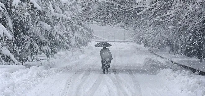 Kar ve kış sporlarıyla ünlü Sapporo kentinde havalar erken ısındı
