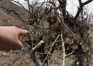 Teröristlerin gözetleme kuleleri deşifre oldu
