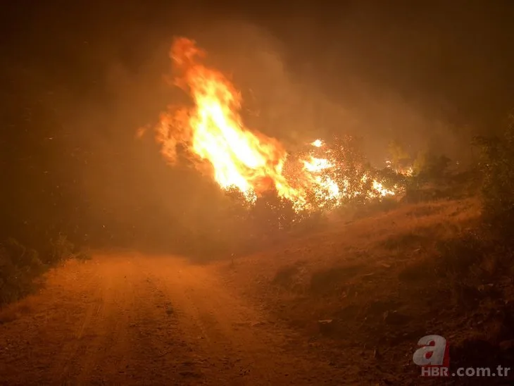 Manisa’da orman yangını