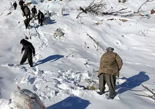 Hakkari’de çığ dehşeti! 8 ev ve 2 ahır hasar gördü: 120 küçükbaş telef oldu