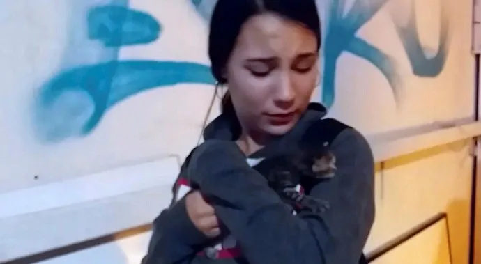 Yavru kedi için otelin alçı duvarı kırıldı, otel sahibi ortalığı birbirine kattı! - 1