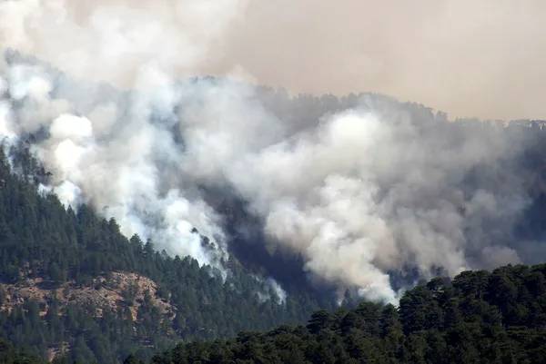 Mersin’de yangın çıkarmaya çalışan 2 şüpheliden biri tutuklandı