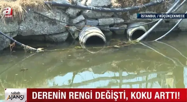menekse-deresinden-yayilan-kotu-koku-cevre-sakinlerini-isyan-ettirdi-1627631792318.jpg Menekşe Deresi’nden yayılan kötü koku çevre sakinlerini isyan ettirdi! - 7