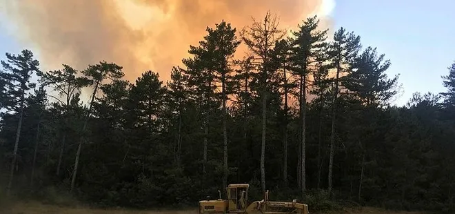 Bolu'da büyük orman yangını!