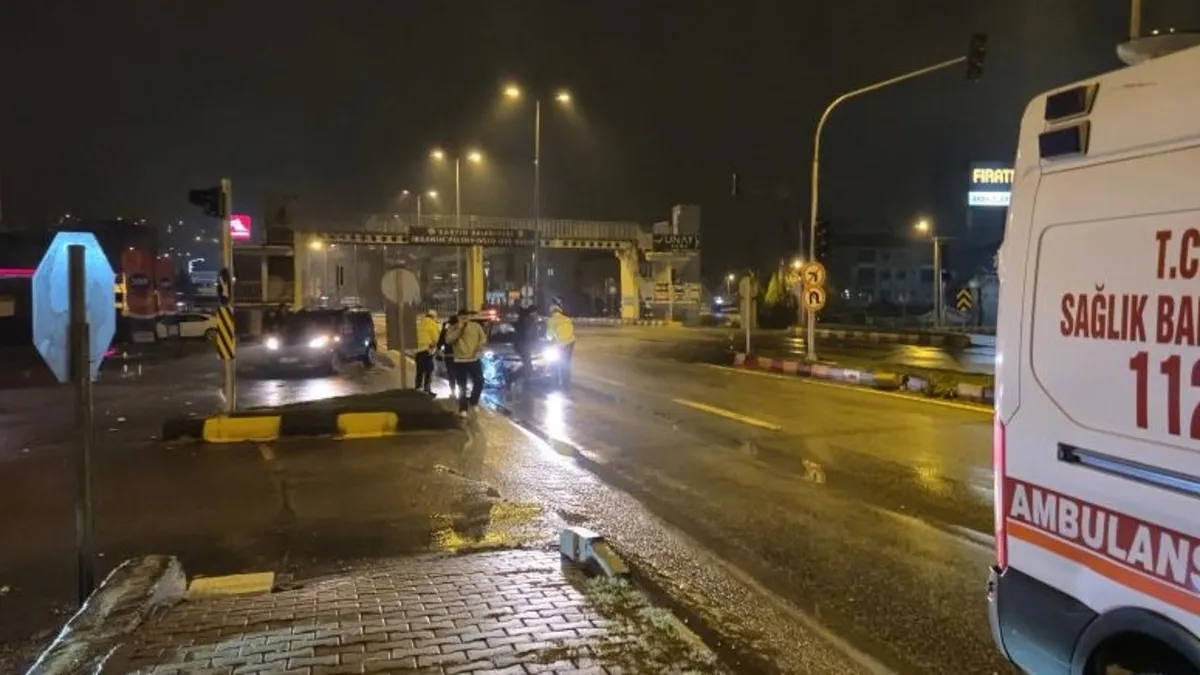 Bartın'da 3 farklı noktada kaza! Köpek telef oldu