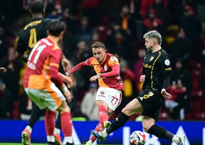 Aslan evinde doludizgin