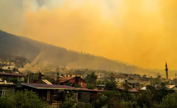 son-dakika-baskan-erdogan-afet-bolgesinde-antalya-ve-marmariste-incelemelerde-bulunacak-1627726028544.jpg Son dakika: Başkan Erdoğan afet bölgesinde! Antalya ve Marmaris'te incelemelerde bulundu - 2