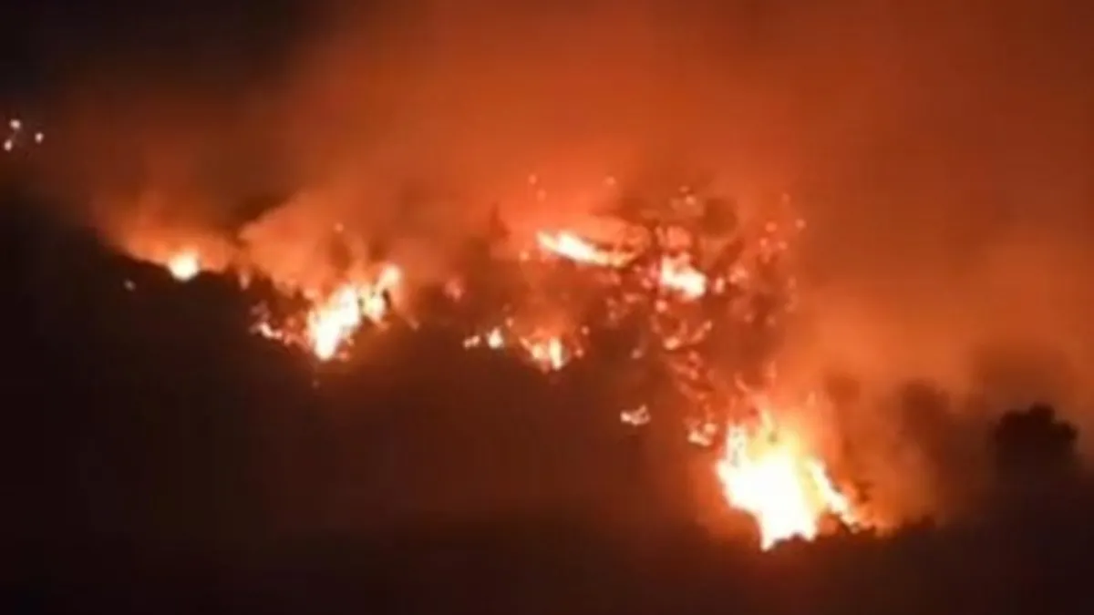 Hatay'daki örtü yangını kontrol altına alındı