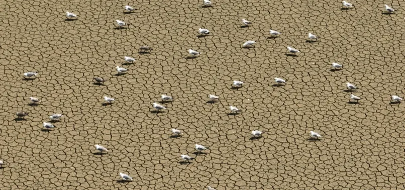 İstanbul için son 61 gün! Kuraklığın tehlikesi gözler önünde