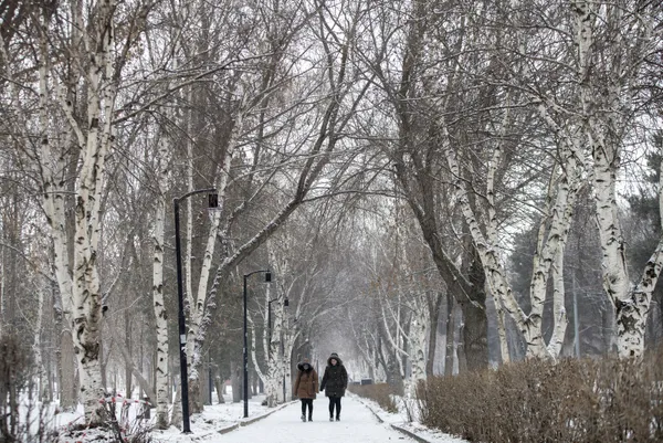 SON DAKİKA! Meteoroloji’den flaş uyarı! Sıcaklıklar düşüyor kar geri geliyor! Sağanak, buzlanma, tipi... | 2 Ocak 2022 İstanbul, Ankara, İzmir hava durumu