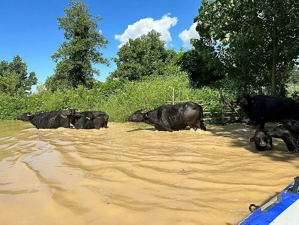 Sanayi ve Teknoloji Bakanı Mehmet Fatih Kacır duyurdu! KOSGEB selzedelere 300 bin lira kredi desteği verecek - 4