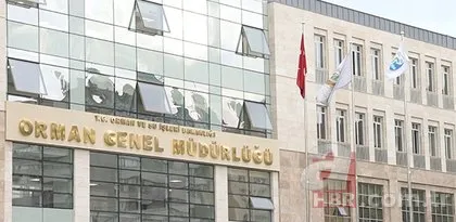 Orman Genel Müdürlüğü OGM 5 bin personel alımı ne zaman, başvuru şartları neler?