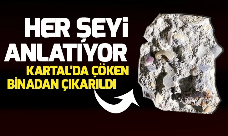 Kartalda çöken binanın enkazındaki deniz kabukları görüntülendi