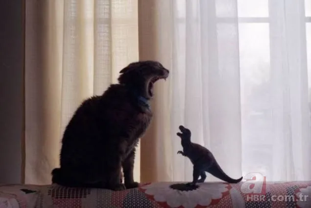 Sosyal medyada en çok bu kareler paylaşıldı 1