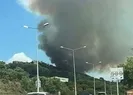 İstanbulda orman yangını! Ekipler seferber oldu