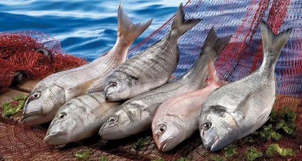 Ünlü şarkıcı ölümden döndü: Yaptığı balık diyeti hayatına mal oluyordu