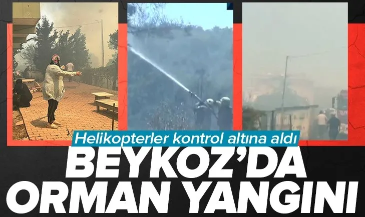Son dakika: Beykoz’da orman yangını! Yerleşim yeri korkusu