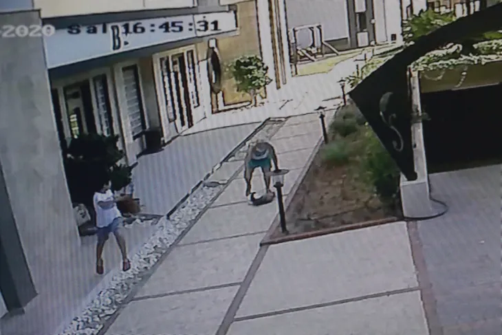 Antalya'da köpekli aileye saldıran kedi, hem korkuttu hem güldürdü ...