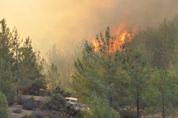 Bakanlık duyurdu: Bugün çıkan 22 orman yangınından 20’si söndürüldü! Mersin yangınına 11 uçak 29 helikopterle müdahale sürüyor