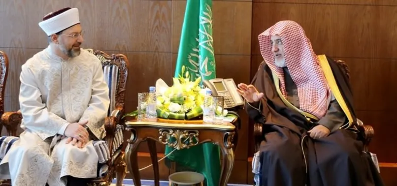 Suudi bakandan Türkiye çıkışı! Sonuç alamazlar