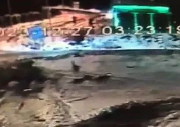 Kurt sürüsü köpeğe böyle saldırdı! Sahibi…