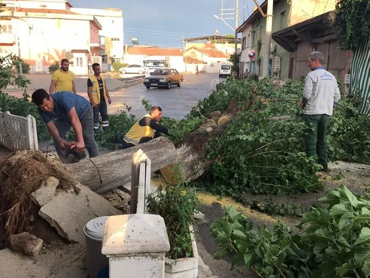 Aydın’da fırtına şehri yıkıp geçti!