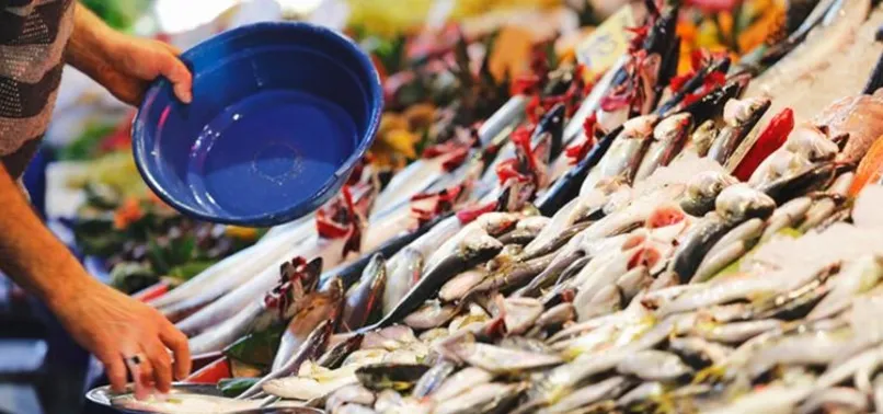 Son dakika | Müsilaj balıkları zehirler mi | Çevre ve Şehircilik Bakanı Murat Kurum'dan flaş açıklama