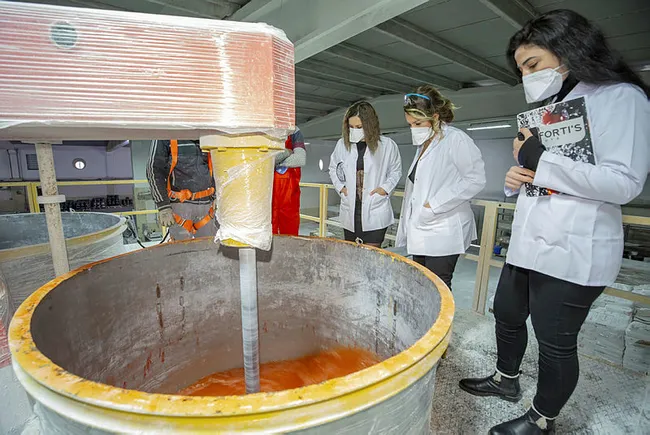Diyarbakır’da kadın girişimci borç parayla girdiği işte fabrika sahibi oldu - 4