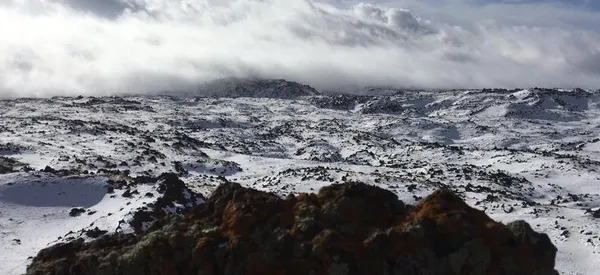 Son dakika: Şehit Eren Bülbül’ün anısına ’Eren Operasyonları’ başladı