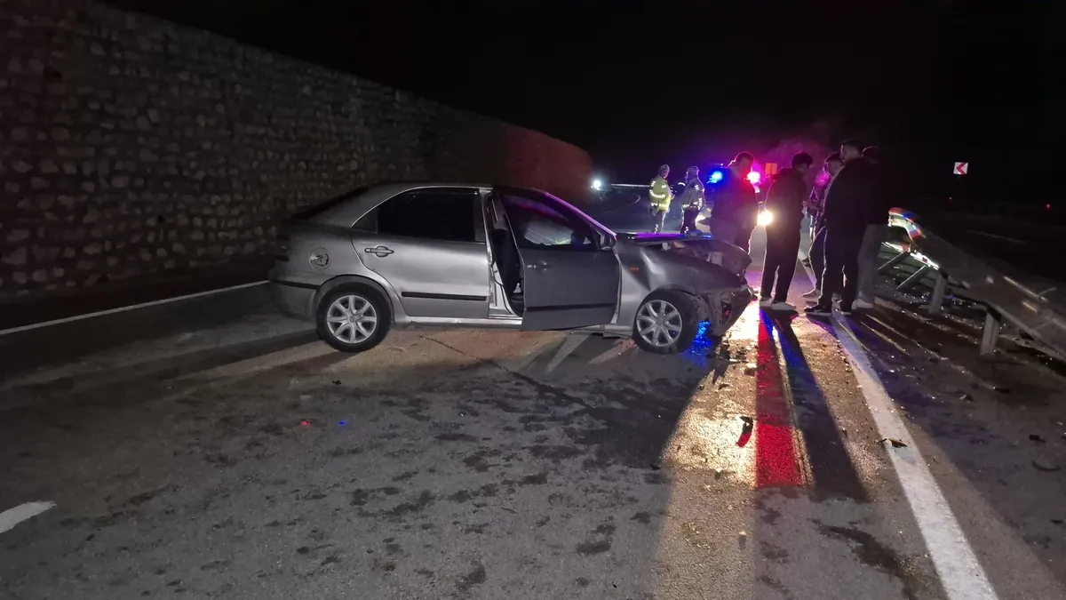 Yola fırlayan yaban domuzu kazaya neden oldu! Bariyerler çarptı: 4 yaralı