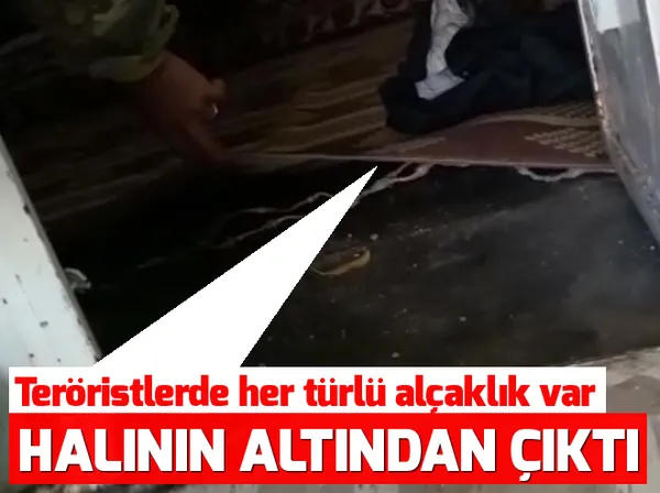 Afrin'de 2 köy daha teröristlerden temizlendi - 1