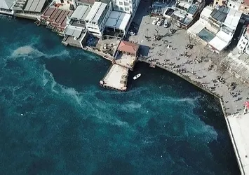 İstanbul Boğazı'nı işgal ettiler! Vatandaşları şaşırtan görüntü