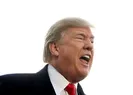 Trumptan iddialara yanıt: Akıllı değilim...