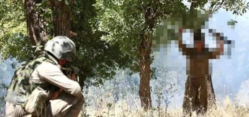 Terör örgütü PKK'da büyük çöküş! Örgüt içinde işkence ve infazlar başladı