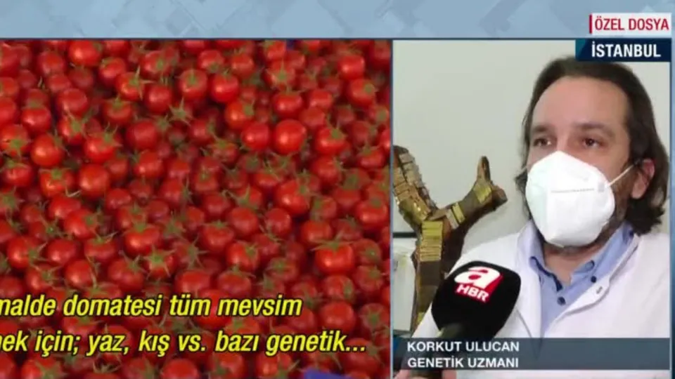 GDO nedir? Hangi gıdalar GDO’lu olabilir?