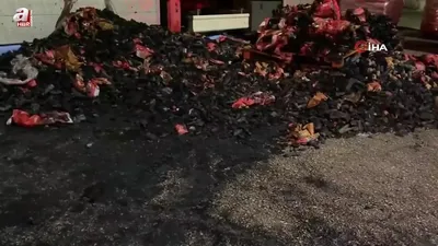 Mangal kömürü yüklü tır alev alev yandı