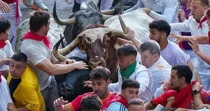 İspanya’da boğa koşusu: Çok sayıda yaralı