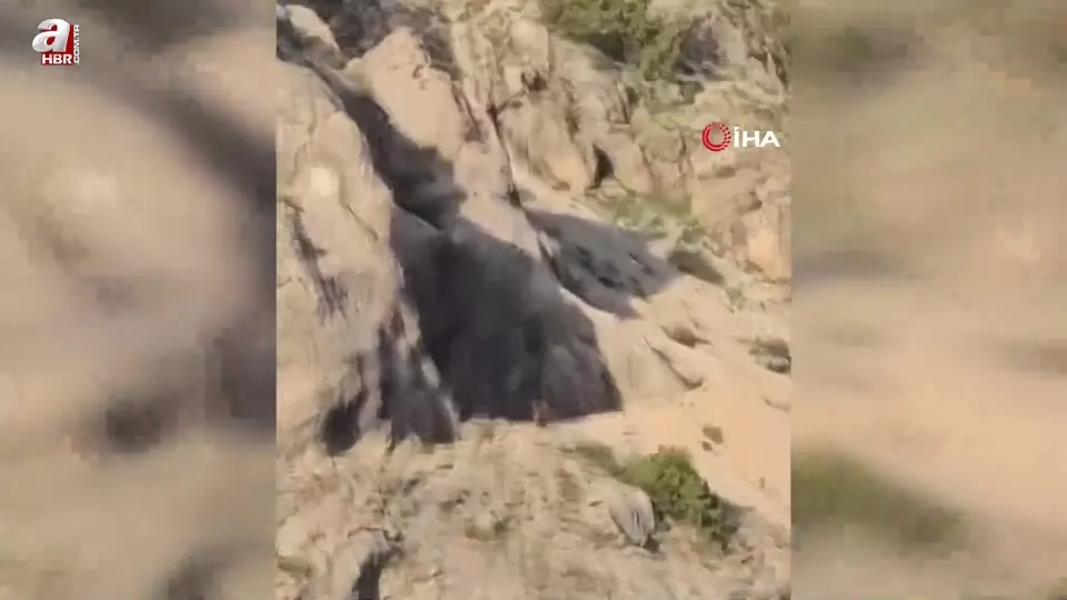 Ayı gören çoban kurt gibi böyle uludu