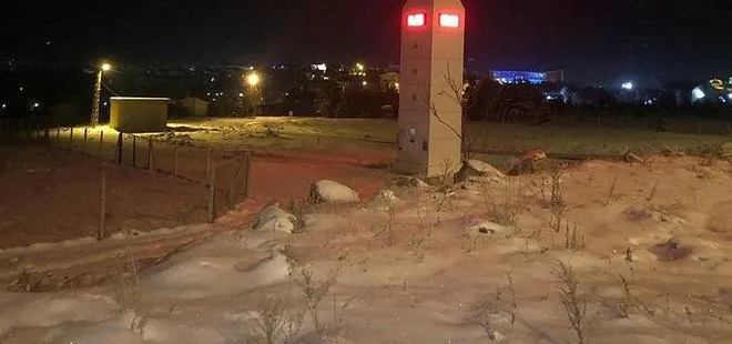 Ankara’da kuğular buz tuttu! Hava sıcaklığı eksi 17 dereceye düştü