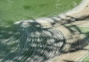 Eymir Gölü'nde müsilaj benzeri kirlilik: Simsiyah su fışkırıyor