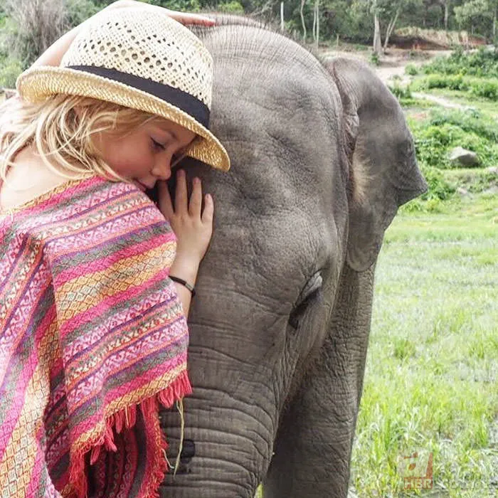 Dostu kansere yenik düşünce çocuğuyla dünyayı gezmeye başladı 2
