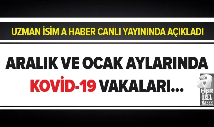 Uzman isim A Haber canlı yayınında açıkladı: Aralık ve ocak aylarında Kovid-19 vaka sayıları...