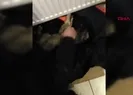 Soğuktan donan köpeği kalp masajıyla hayata döndürdü
