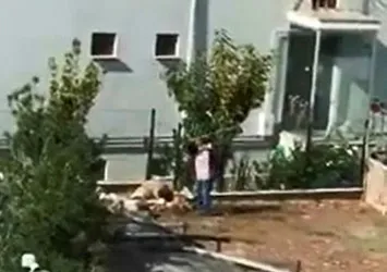Zincirle bağlı köpeğe sopayla saldırdı