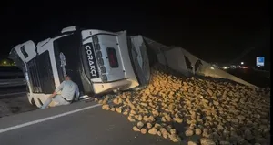 Köpeğe çarpmayım derken sürdüğü TIR’e devirdi! Pancarlar