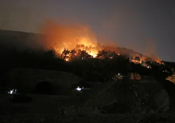 Bursa'da orman yangını!